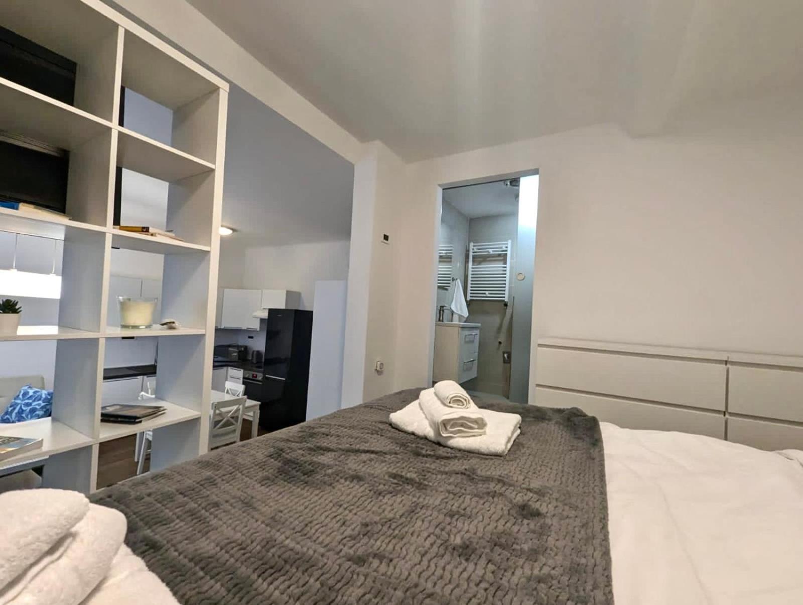 Fantabulous Downtown Abode W King Bed, 65" Tv, Washer And Tumble Dryer Zagreb Extérieur photo